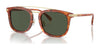 Coach CL913 HC8382 Sunglasses | Size 53 / Caramel Tortoise / Army Green (2N 19.2%) №577482