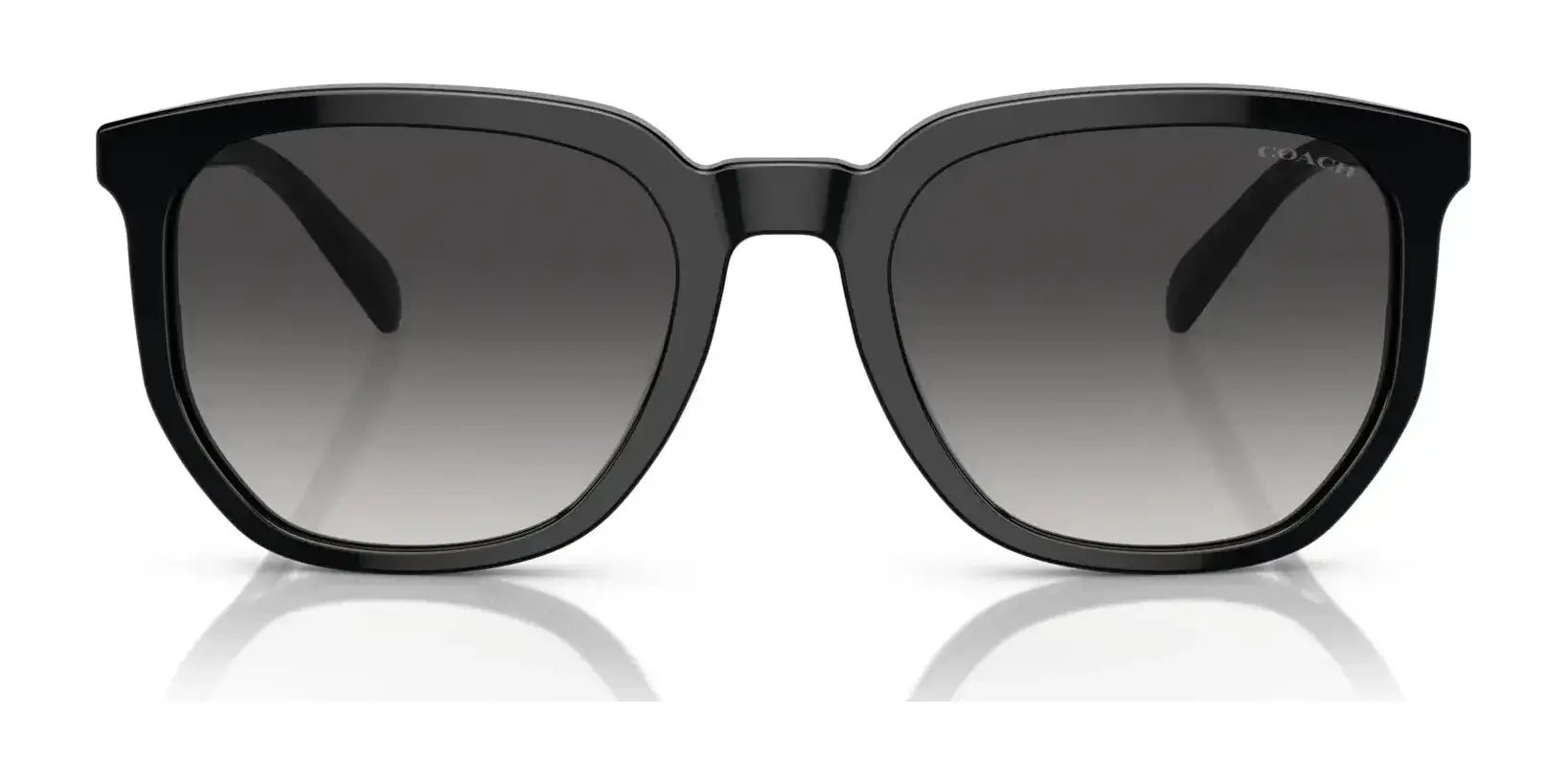 Coach CL911 HC8384U Sunglasses | Size 55 Coach CL911 HC8384U Sunglasses | Size 55