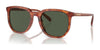 Coach CL911 HC8384U Sunglasses | Size 55 / Caramel Tortoise / Green (2N 19.2%) №577482