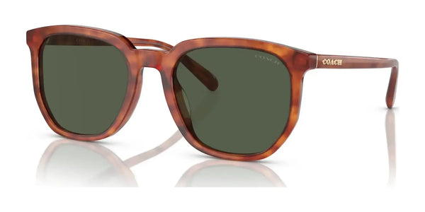 Coach CL911 HC8384U Sunglasses | Size 55 / Caramel Tortoise / Green (2N 19.2%) №577482