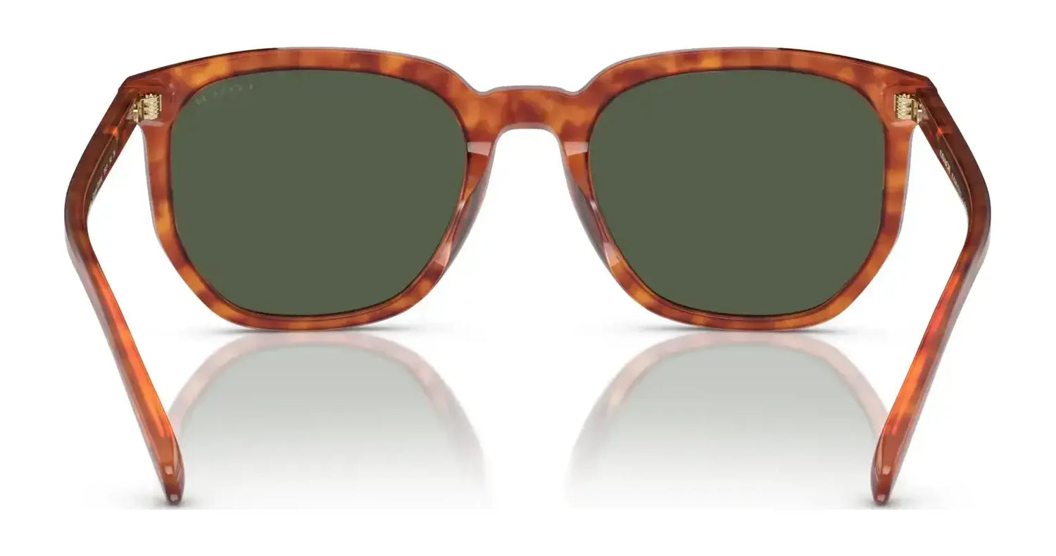 Coach CL911 HC8384U Sunglasses | Size 55 Coach CL911 HC8384U Sunglasses | Size 55