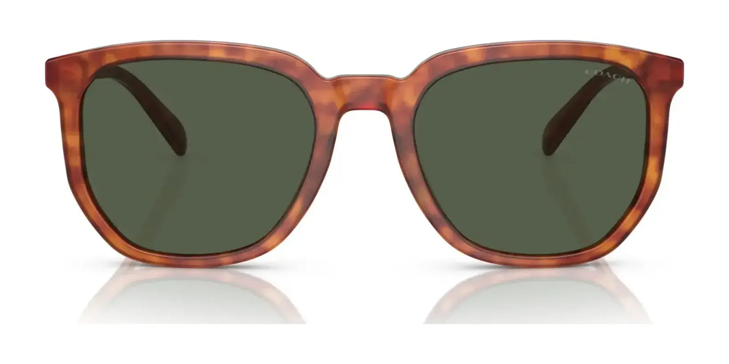 Coach CL911 HC8384U Sunglasses | Size 55 Coach CL911 HC8384U Sunglasses | Size 55