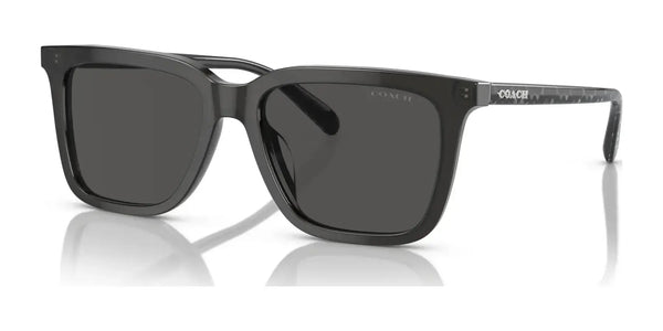 Coach CL910 HC8385U Sunglasses | Size 54 / Transparent Dark Grey / Grey Solid (3N 10%) №579387