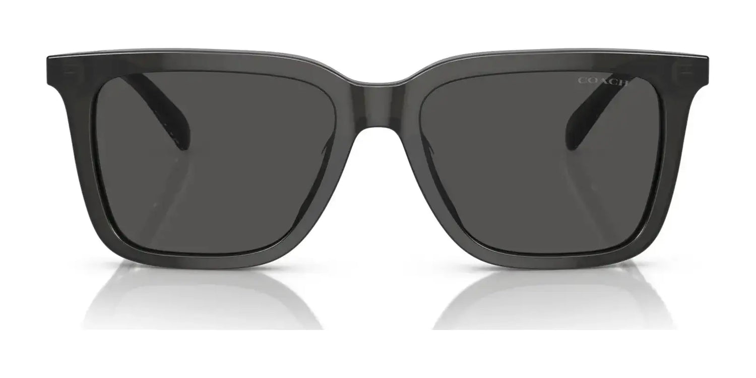 Coach CL910 HC8385U Sunglasses | Size 54 Coach CL910 HC8385U Sunglasses | Size 54