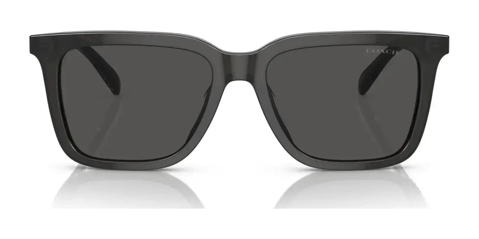 Coach CL910 HC8385U Sunglasses | Size 54 Coach CL910 HC8385U Sunglasses | Size 54