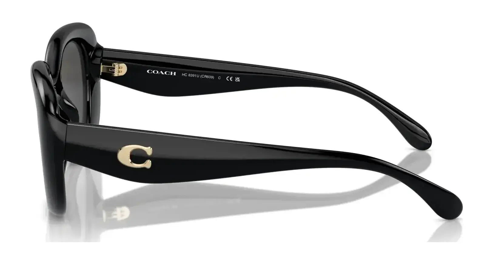 Coach CR609 HC8391U Sunglasses | Size 53 Coach CR609 HC8391U Sunglasses | Size 53