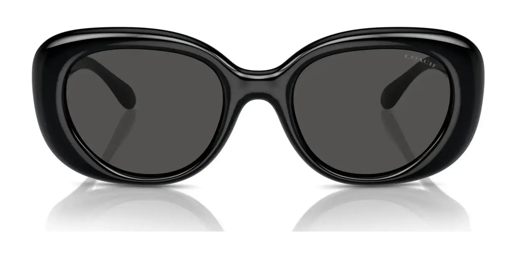 Coach CR609 HC8391U Sunglasses | Size 53 Coach CR609 HC8391U Sunglasses | Size 53