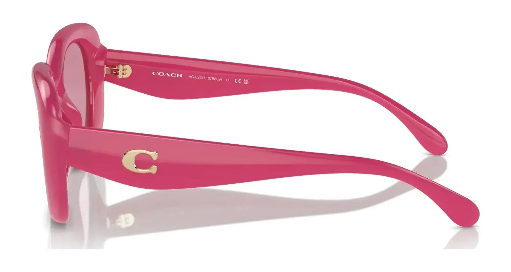 Coach CR609 HC8391U Sunglasses | Size 53 Coach CR609 HC8391U Sunglasses | Size 53