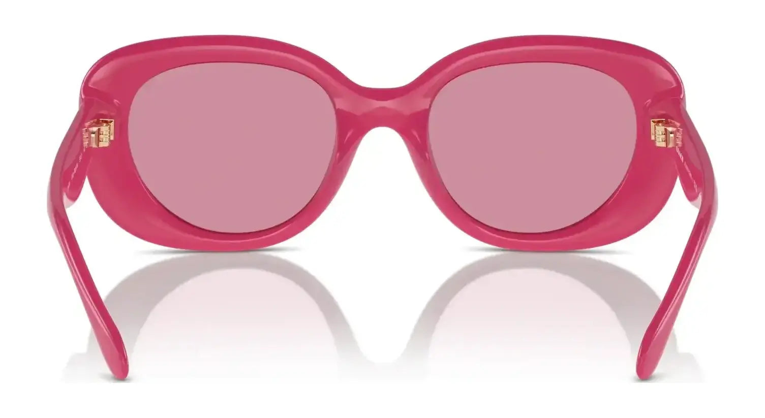 Coach CR609 HC8391U Sunglasses | Size 53 Coach CR609 HC8391U Sunglasses | Size 53