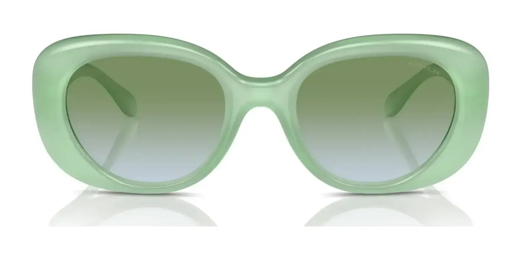 Coach CR609 HC8391U Sunglasses | Size 53 Coach CR609 HC8391U Sunglasses | Size 53