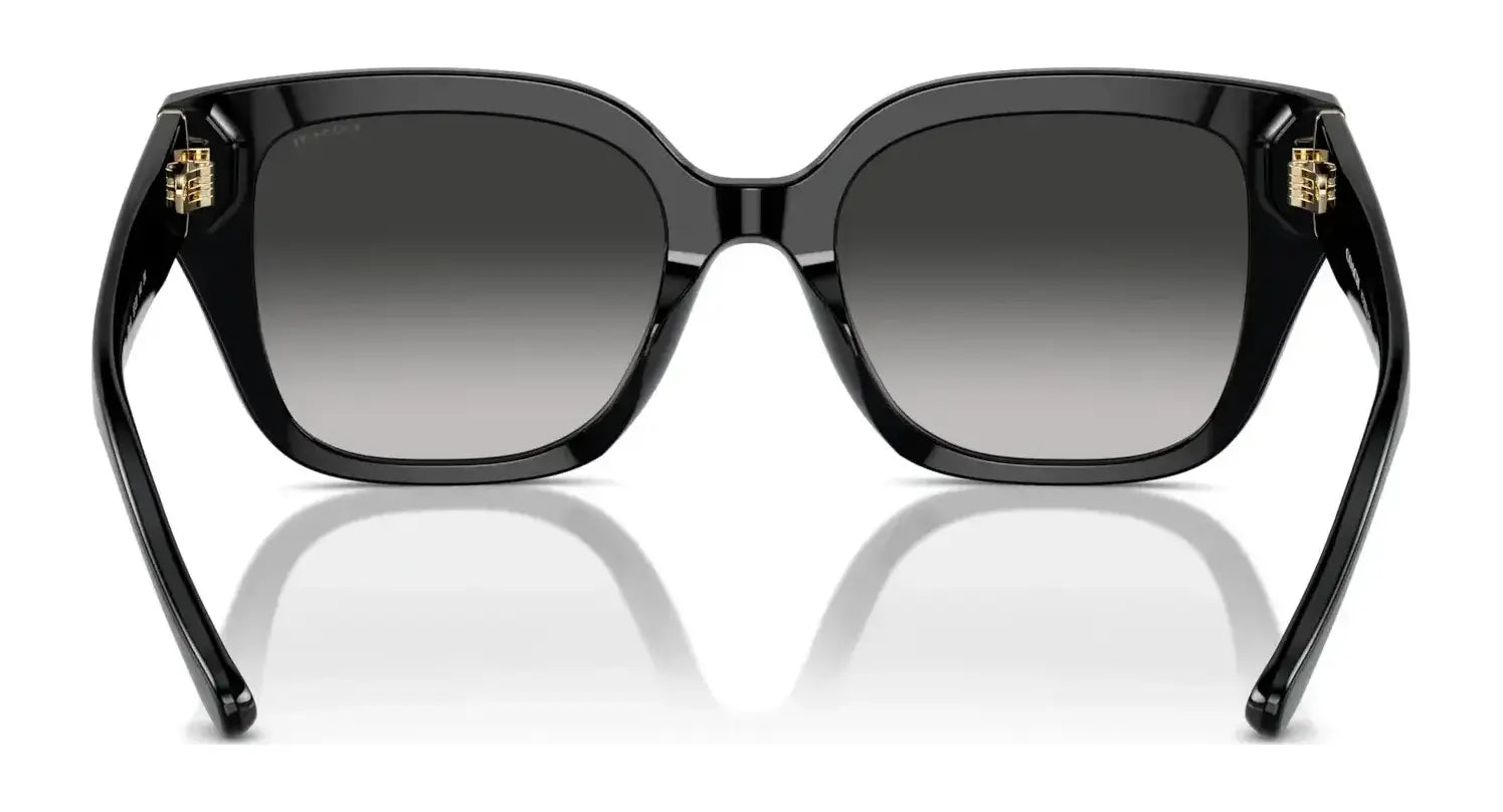 Coach CR611 HC8392U Sunglasses | Size 53 Coach CR611 HC8392U Sunglasses | Size 53