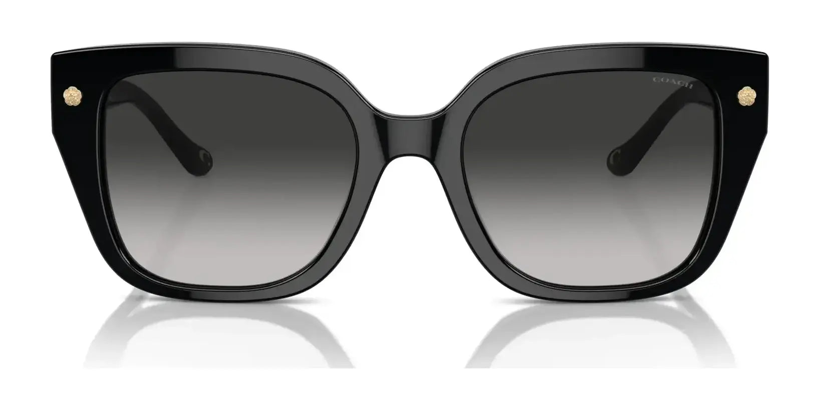 Coach CR611 HC8392U Sunglasses | Size 53 Coach CR611 HC8392U Sunglasses | Size 53