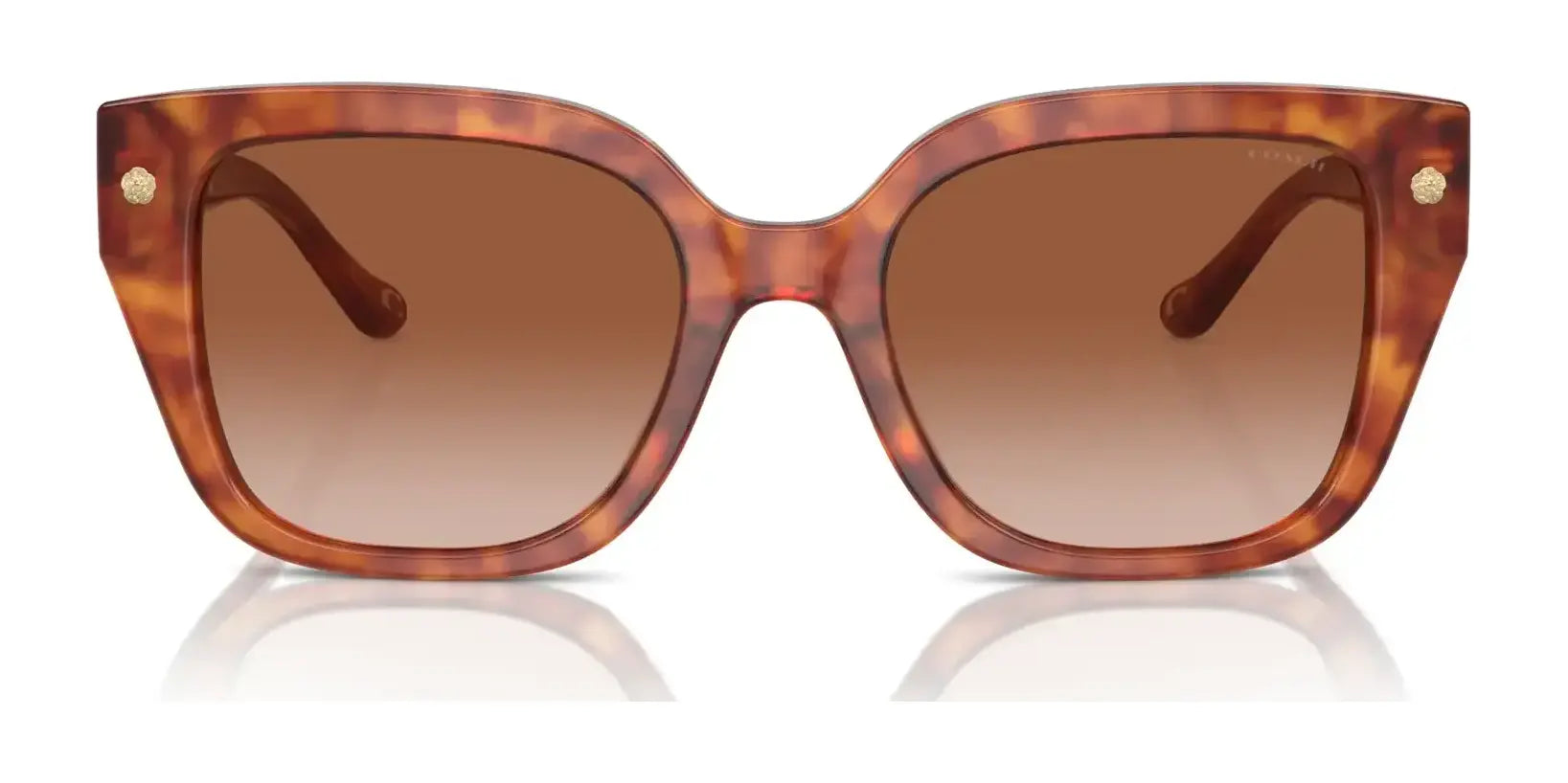 Coach CR611 HC8392U Sunglasses | Size 53 Coach CR611 HC8392U Sunglasses | Size 53