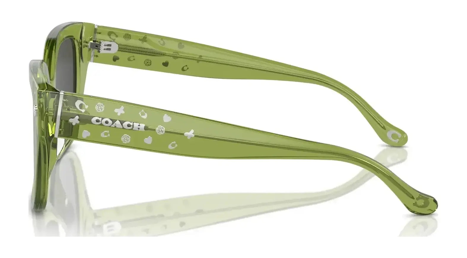 Coach CR611 HC8392U Sunglasses | Size 53 Coach CR611 HC8392U Sunglasses | Size 53