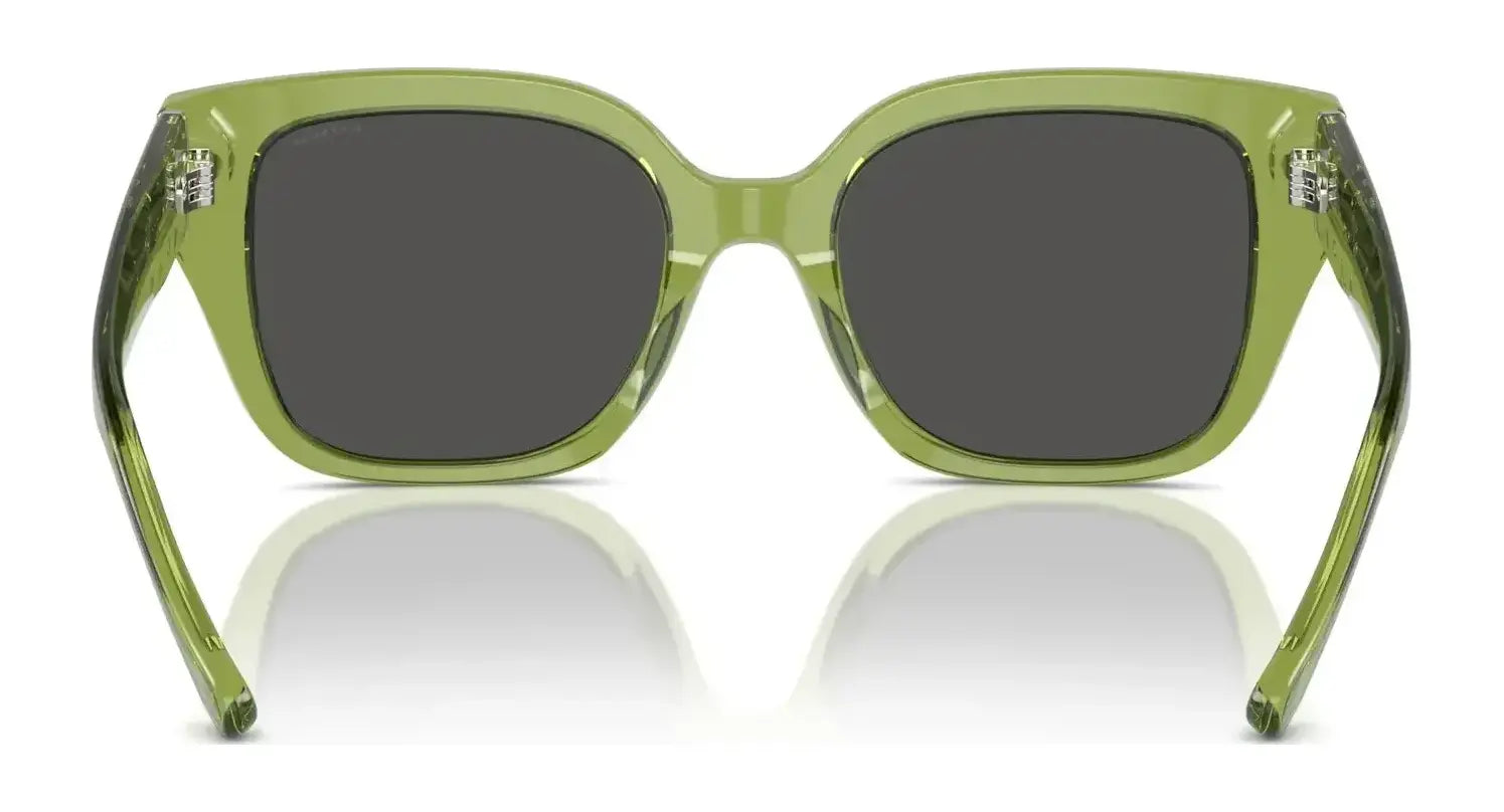 Coach CR611 HC8392U Sunglasses | Size 53 Coach CR611 HC8392U Sunglasses | Size 53