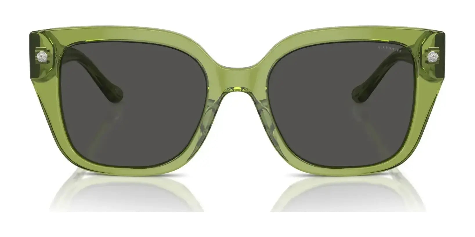 Coach CR611 HC8392U Sunglasses | Size 53 Coach CR611 HC8392U Sunglasses | Size 53