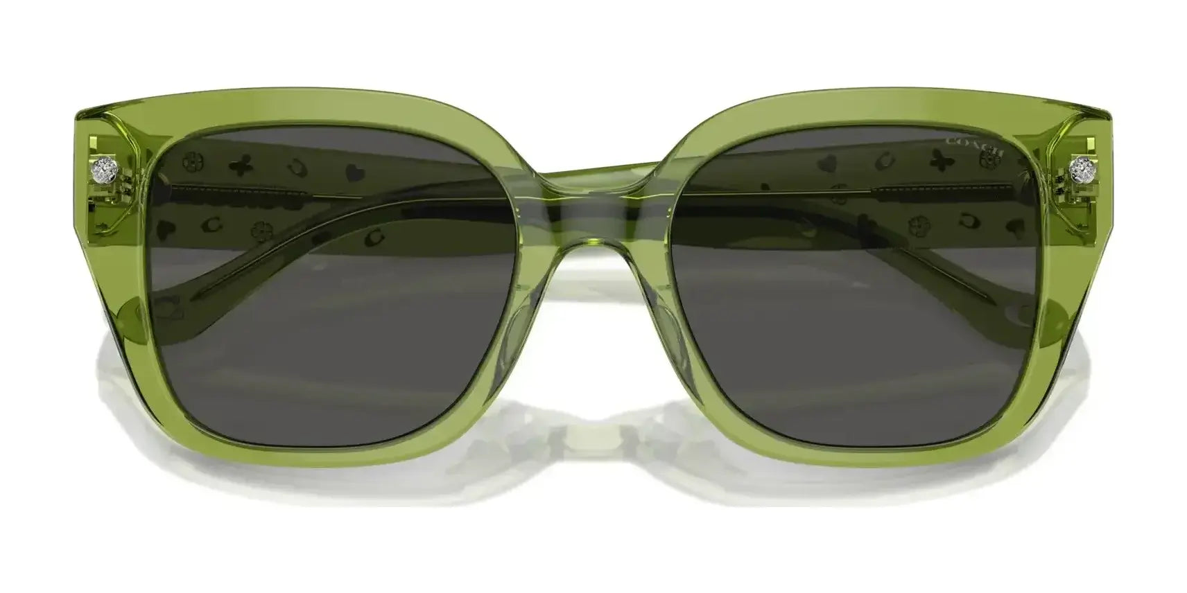 Coach CR611 HC8392U Sunglasses | Size 53 Coach CR611 HC8392U Sunglasses | Size 53