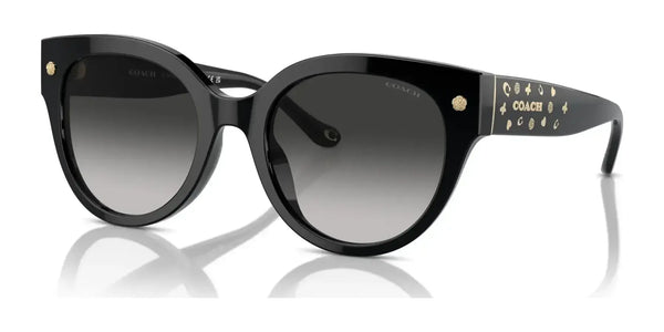 Coach CR612 HC8393U Sunglasses | Size 53 / Black / Grey Gradient (3N 13.2%) №50023C