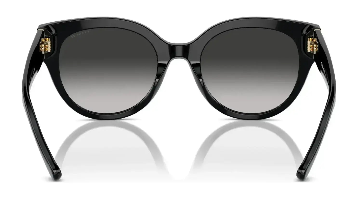 Coach CR612 HC8393U Sunglasses | Size 53 Coach CR612 HC8393U Sunglasses | Size 53