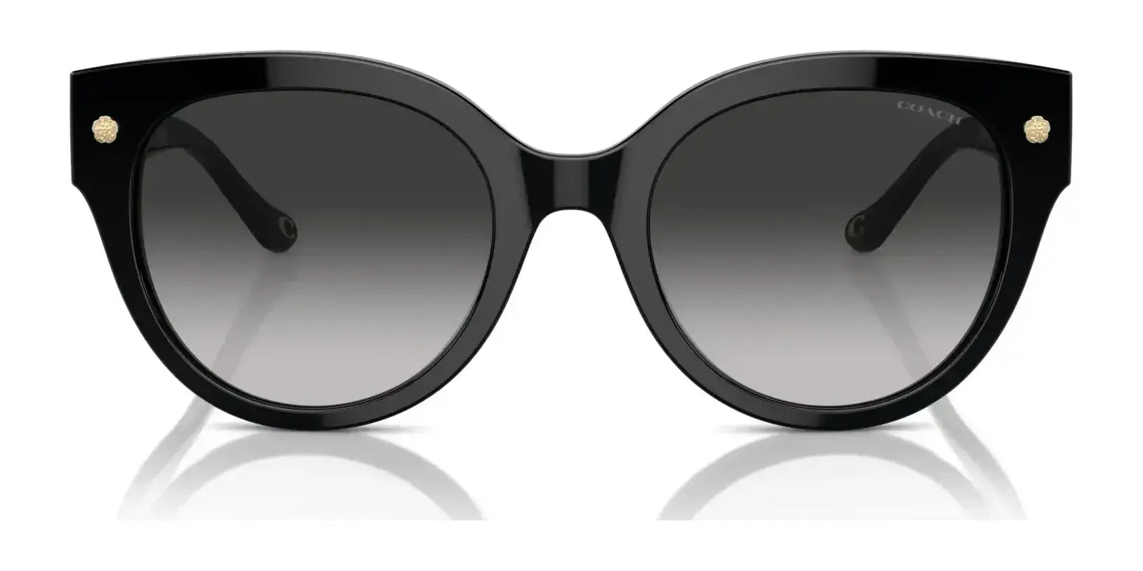 Coach CR612 HC8393U Sunglasses | Size 53 Coach CR612 HC8393U Sunglasses | Size 53