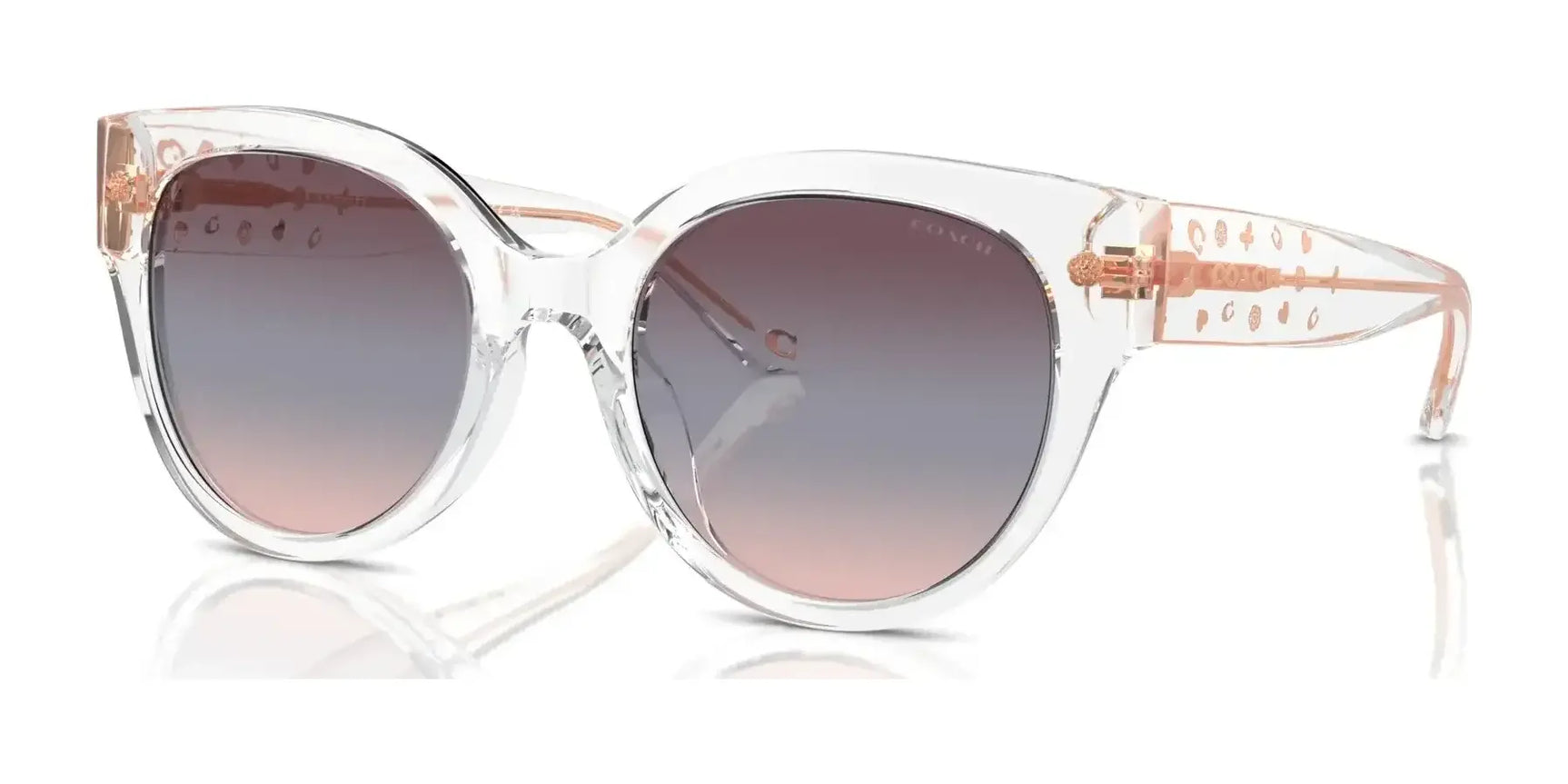 Coach CR612 HC8393U Sunglasses | Size 53 Coach CR612 HC8393U Sunglasses | Size 53
