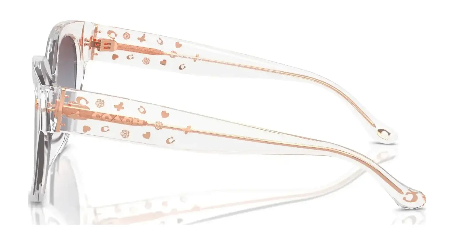 Coach CR612 HC8393U Sunglasses | Size 53 Coach CR612 HC8393U Sunglasses | Size 53