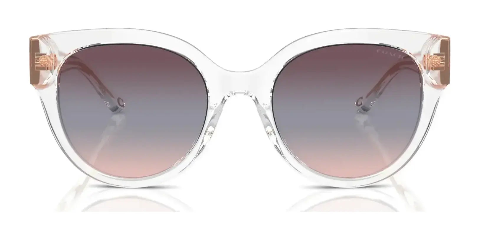 Coach CR612 HC8393U Sunglasses | Size 53 Coach CR612 HC8393U Sunglasses | Size 53