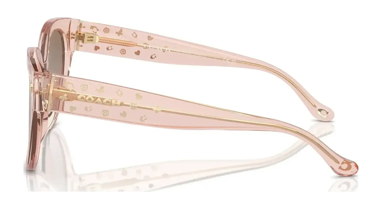 Coach CR612 HC8393U Sunglasses | Size 53 Coach CR612 HC8393U Sunglasses | Size 53