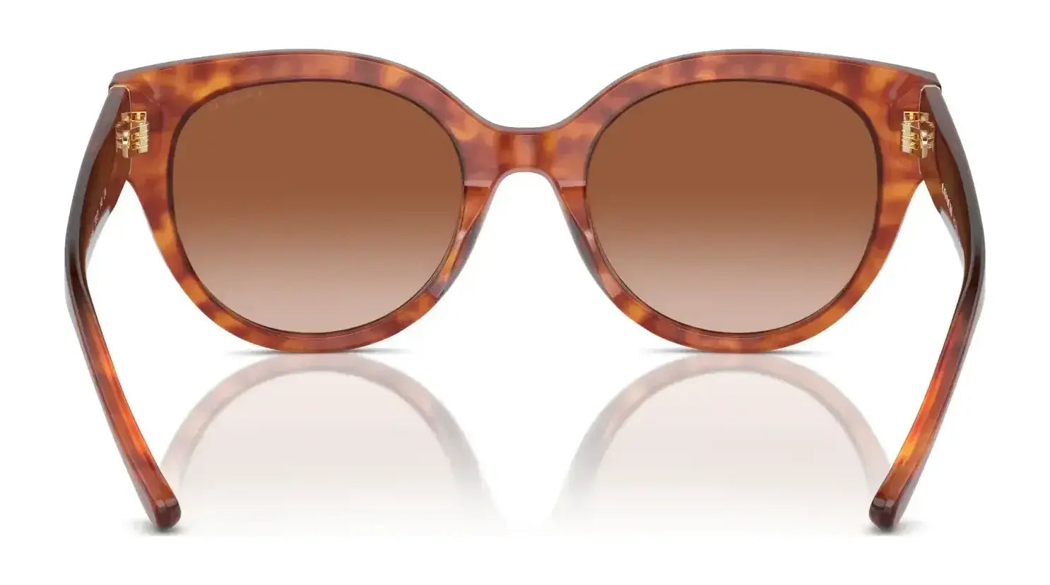 Coach CR612 HC8393U Sunglasses | Size 53 Coach CR612 HC8393U Sunglasses | Size 53