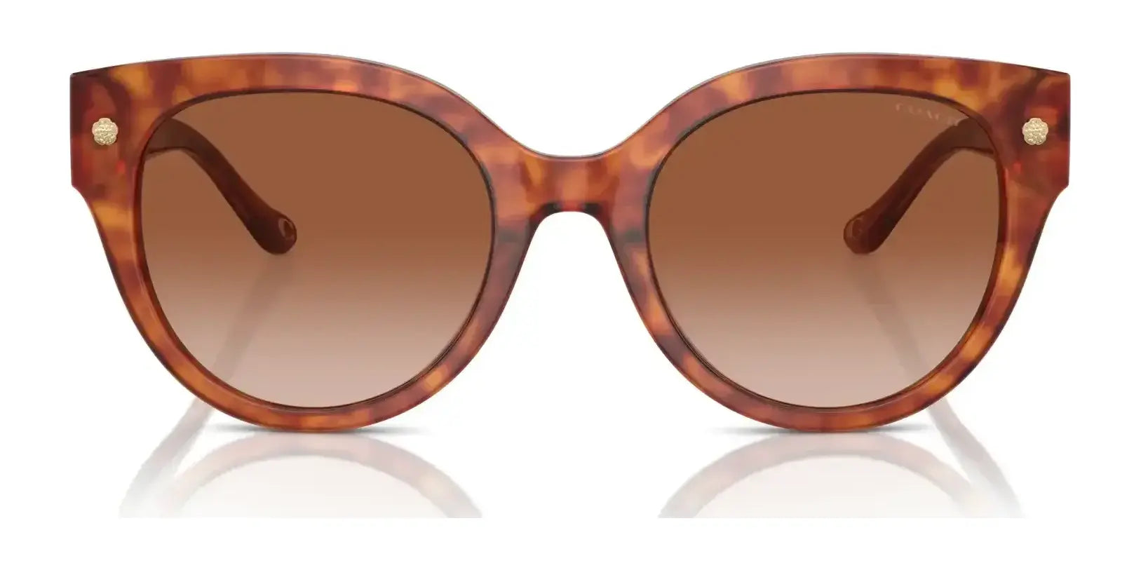 Coach CR612 HC8393U Sunglasses | Size 53 Coach CR612 HC8393U Sunglasses | Size 53