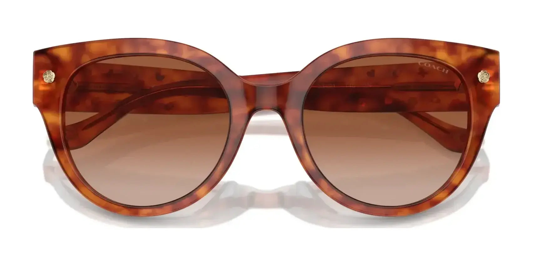 Coach CR612 HC8393U Sunglasses | Size 53 Coach CR612 HC8393U Sunglasses | Size 53