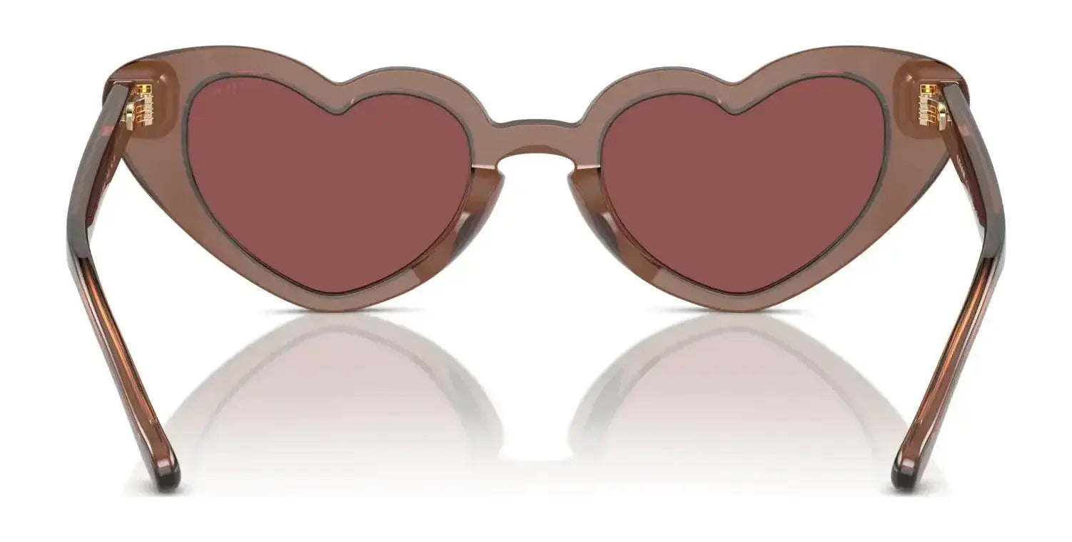 Coach CR613 HC8394U Sunglasses | Size 51 Coach CR613 HC8394U Sunglasses | Size 51