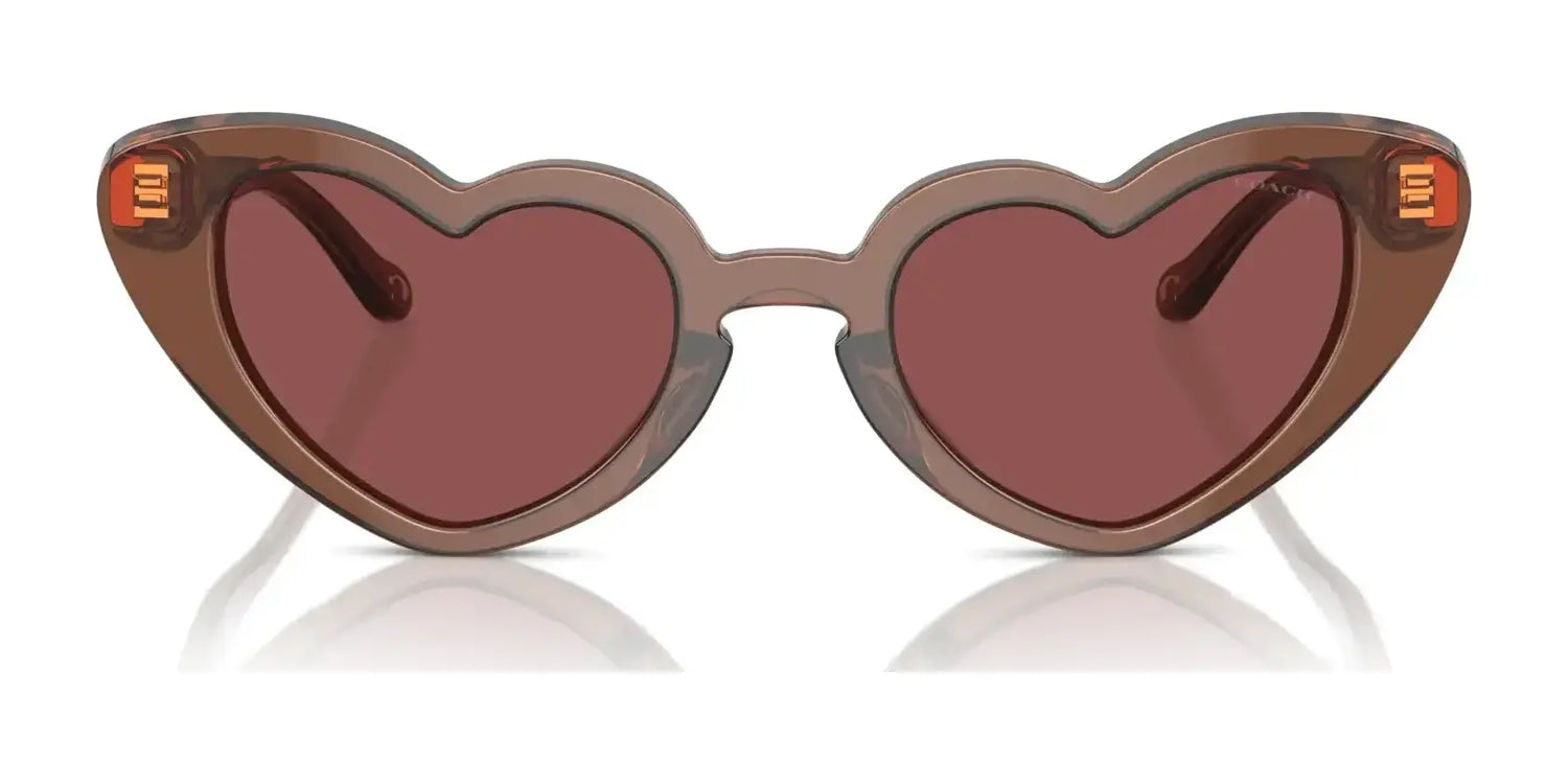 Coach CR613 HC8394U Sunglasses | Size 51 Coach CR613 HC8394U Sunglasses | Size 51