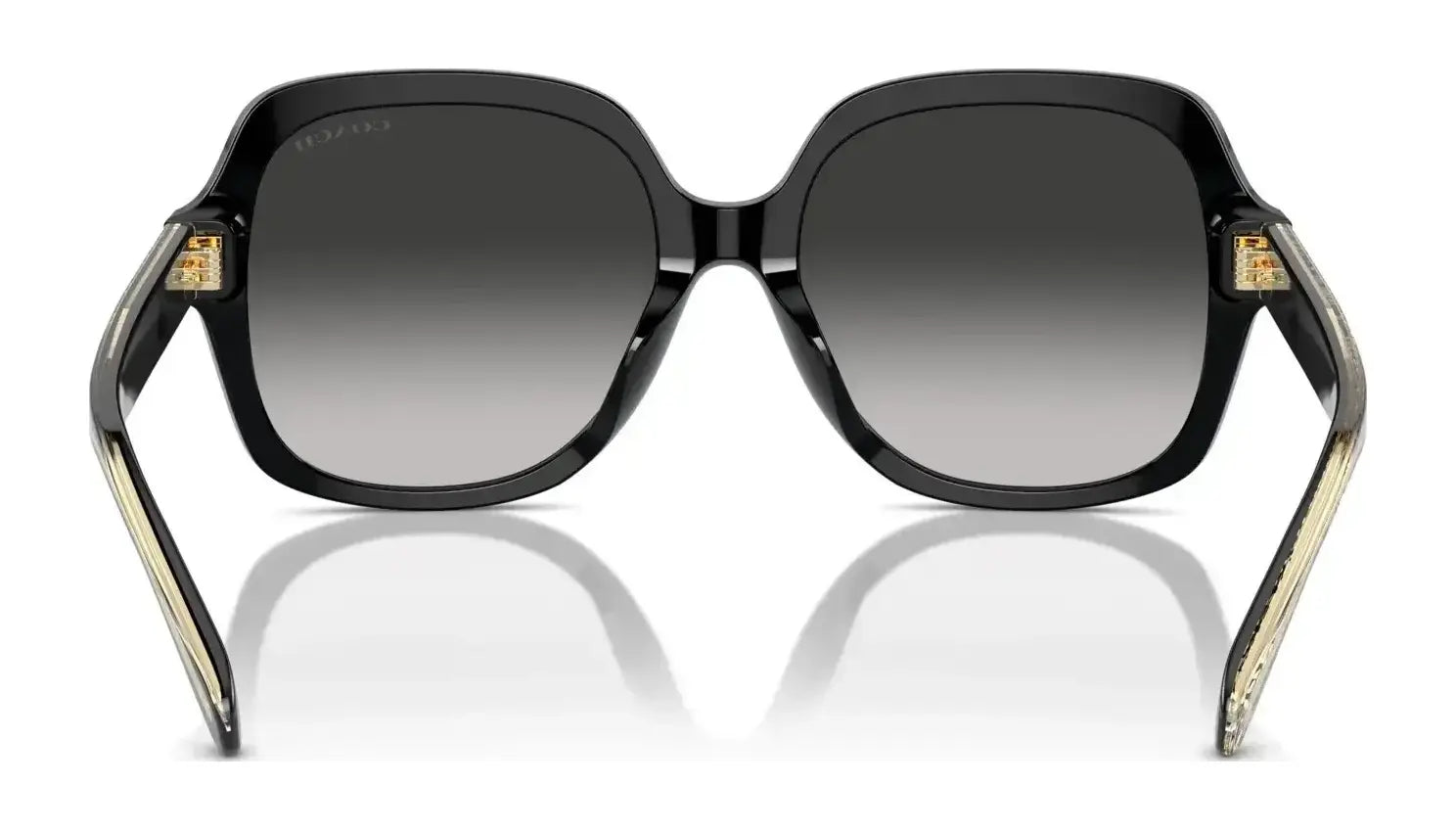 Coach CR614 HC8395U Sunglasses | Size 54 Coach CR614 HC8395U Sunglasses | Size 54