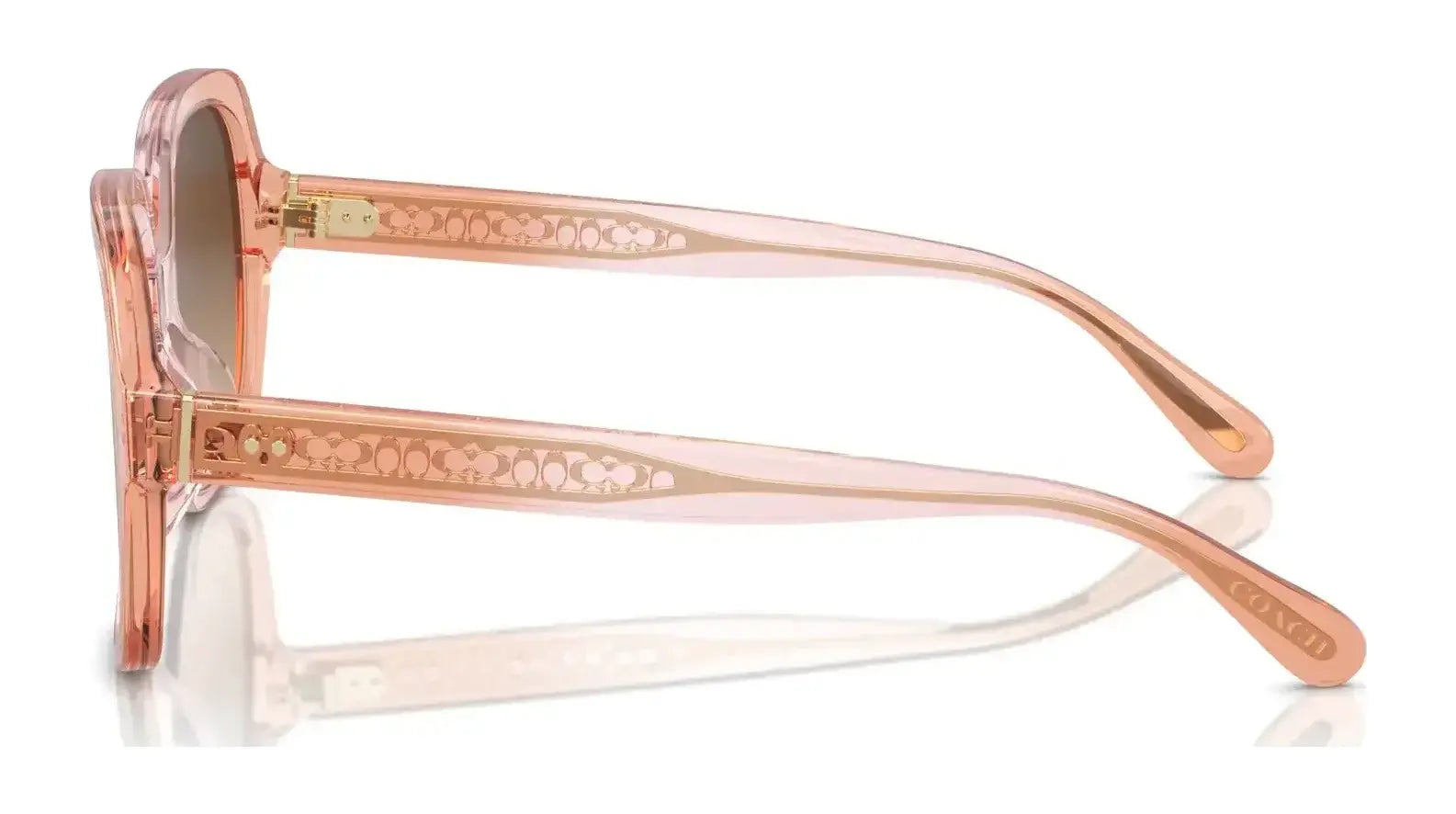 Coach CR614 HC8395U Sunglasses | Size 54 Coach CR614 HC8395U Sunglasses | Size 54