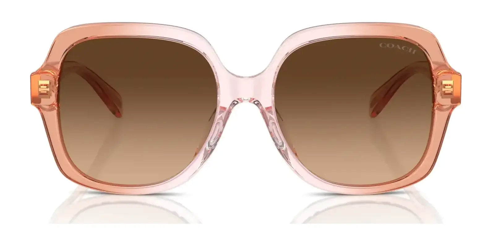 Coach CR614 HC8395U Sunglasses | Size 54 Coach CR614 HC8395U Sunglasses | Size 54