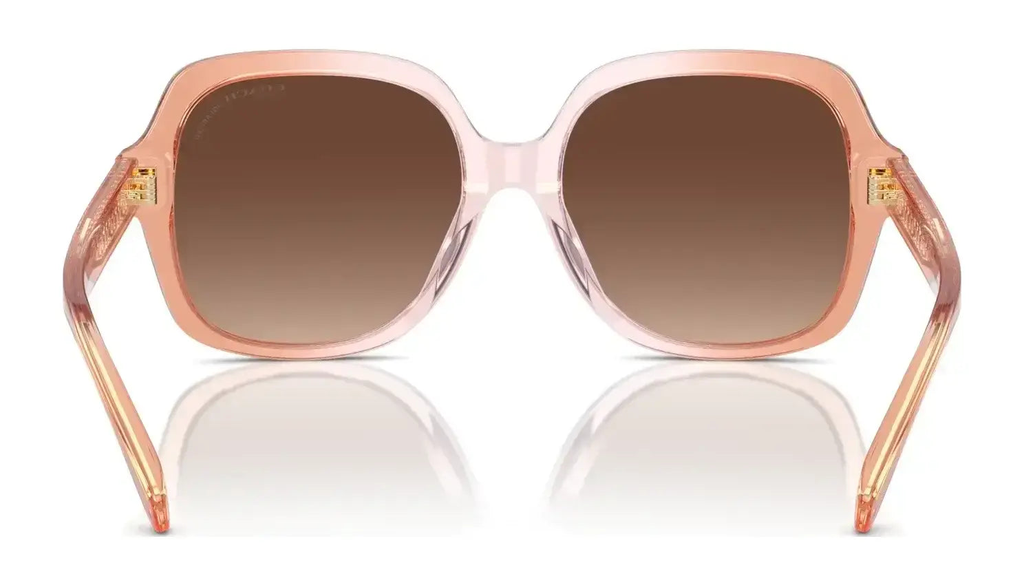 Coach CR614 HC8395U Sunglasses | Size 54 Coach CR614 HC8395U Sunglasses | Size 54