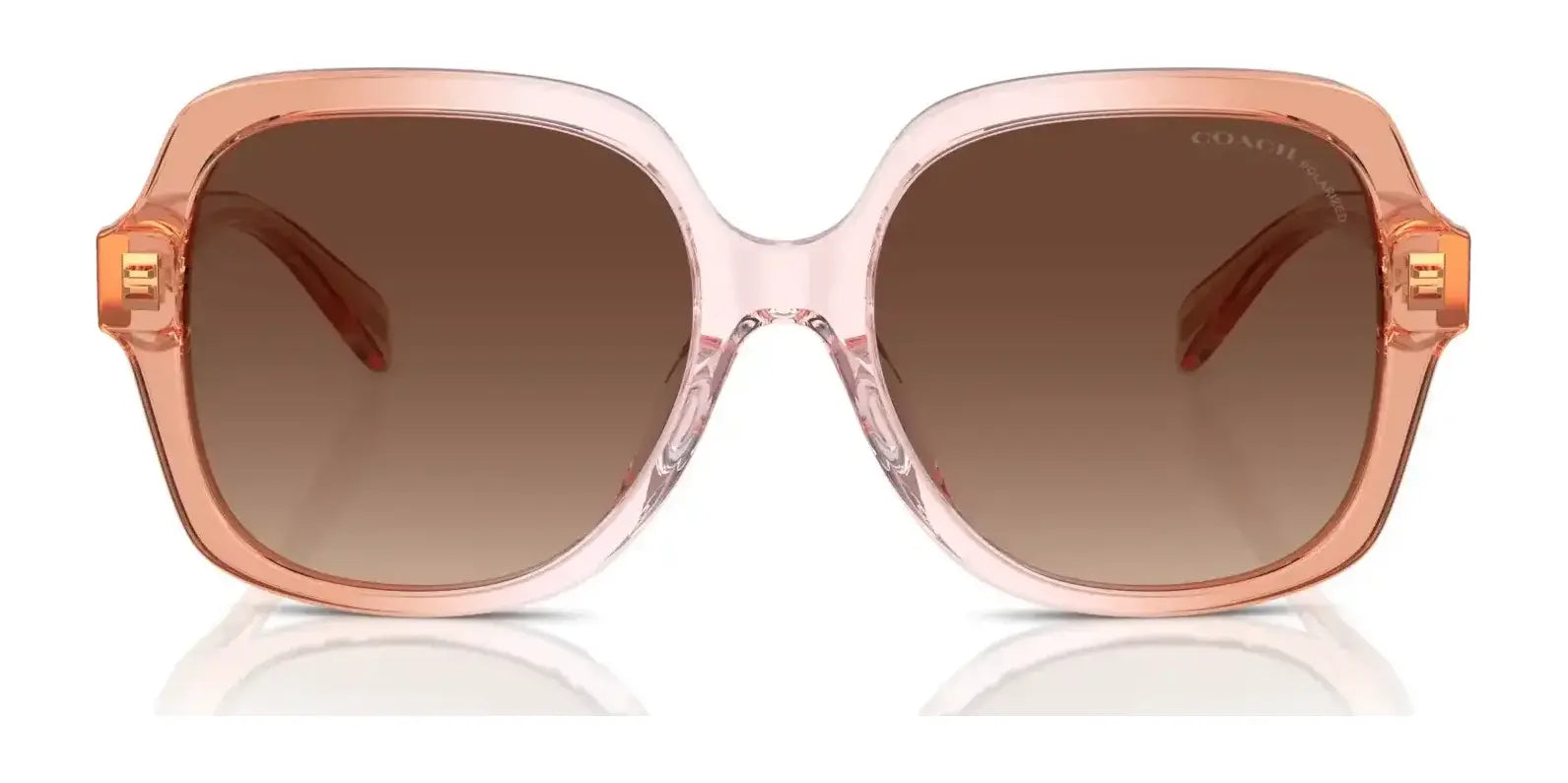 Coach CR614 HC8395U Sunglasses | Size 54 Coach CR614 HC8395U Sunglasses | Size 54