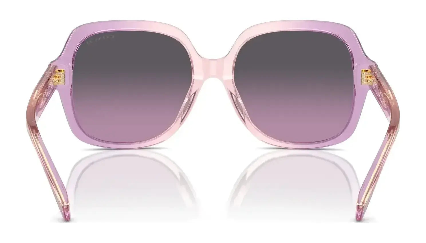 Coach CR614 HC8395U Sunglasses | Size 54 Coach CR614 HC8395U Sunglasses | Size 54