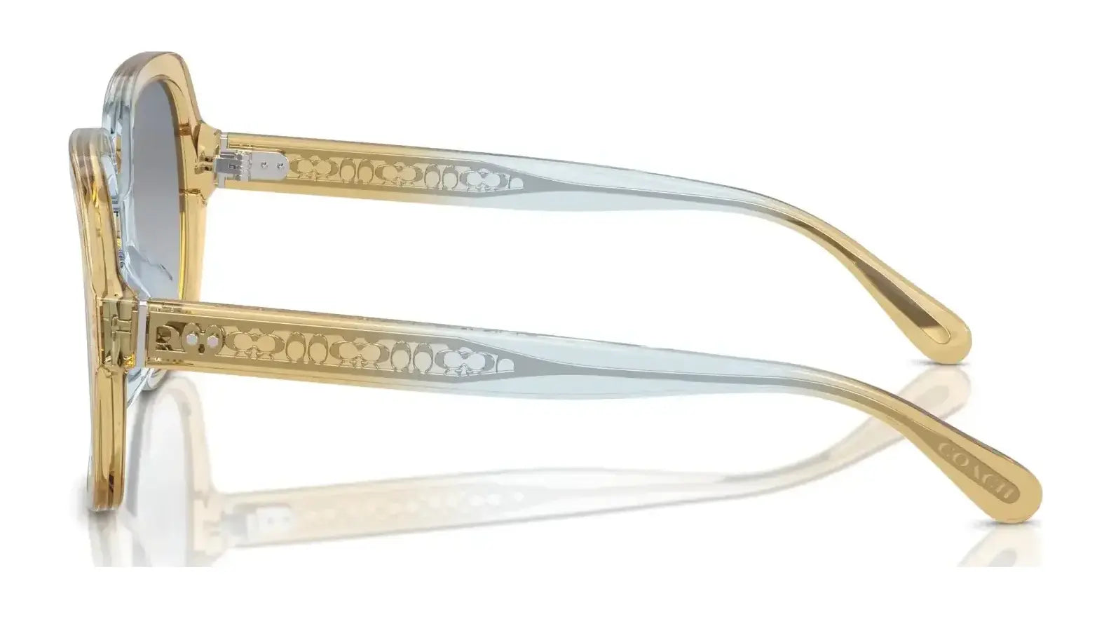 Coach CR614 HC8395U Sunglasses | Size 54 Coach CR614 HC8395U Sunglasses | Size 54