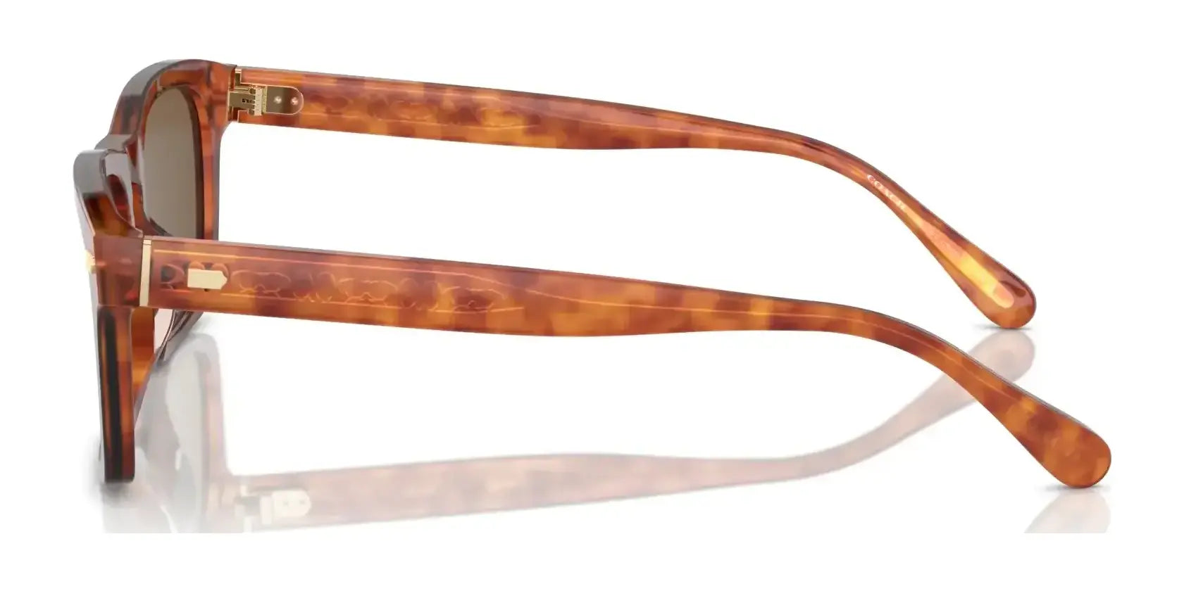 Coach CR628 HC8397U Sunglasses | Size 57 Coach CR628 HC8397U Sunglasses | Size 57