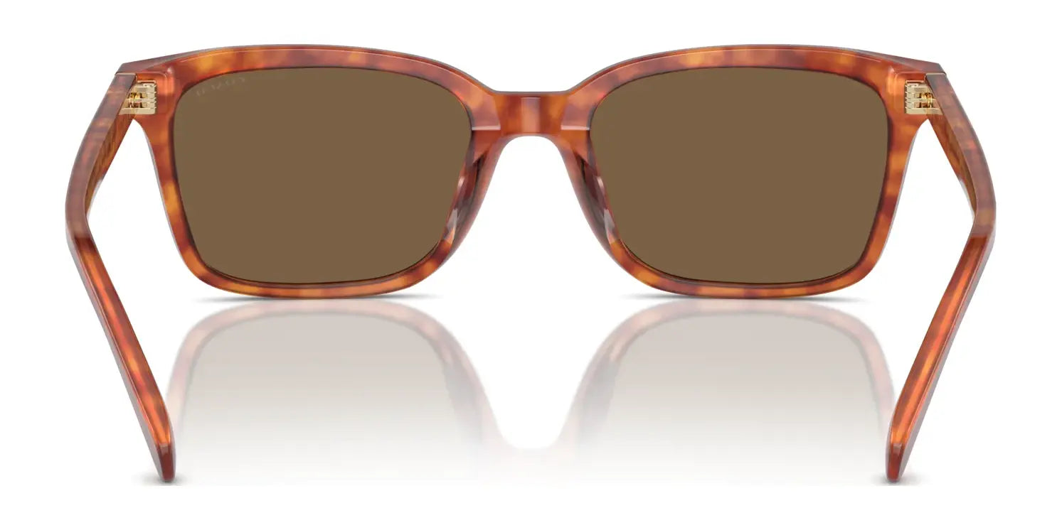 Coach CR630 HC8398U Sunglasses | Size 54 Coach CR630 HC8398U Sunglasses | Size 54