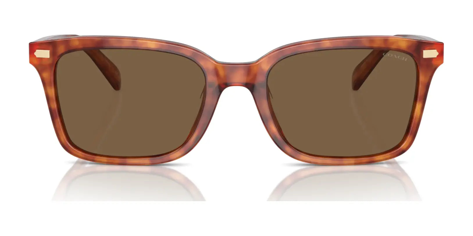 Coach CR630 HC8398U Sunglasses | Size 54 Coach CR630 HC8398U Sunglasses | Size 54