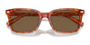 Coach CR630 HC8398U Sunglasses | Size 54 / Transparent Dark Grey / Grey Solid (3N 10%) №581787