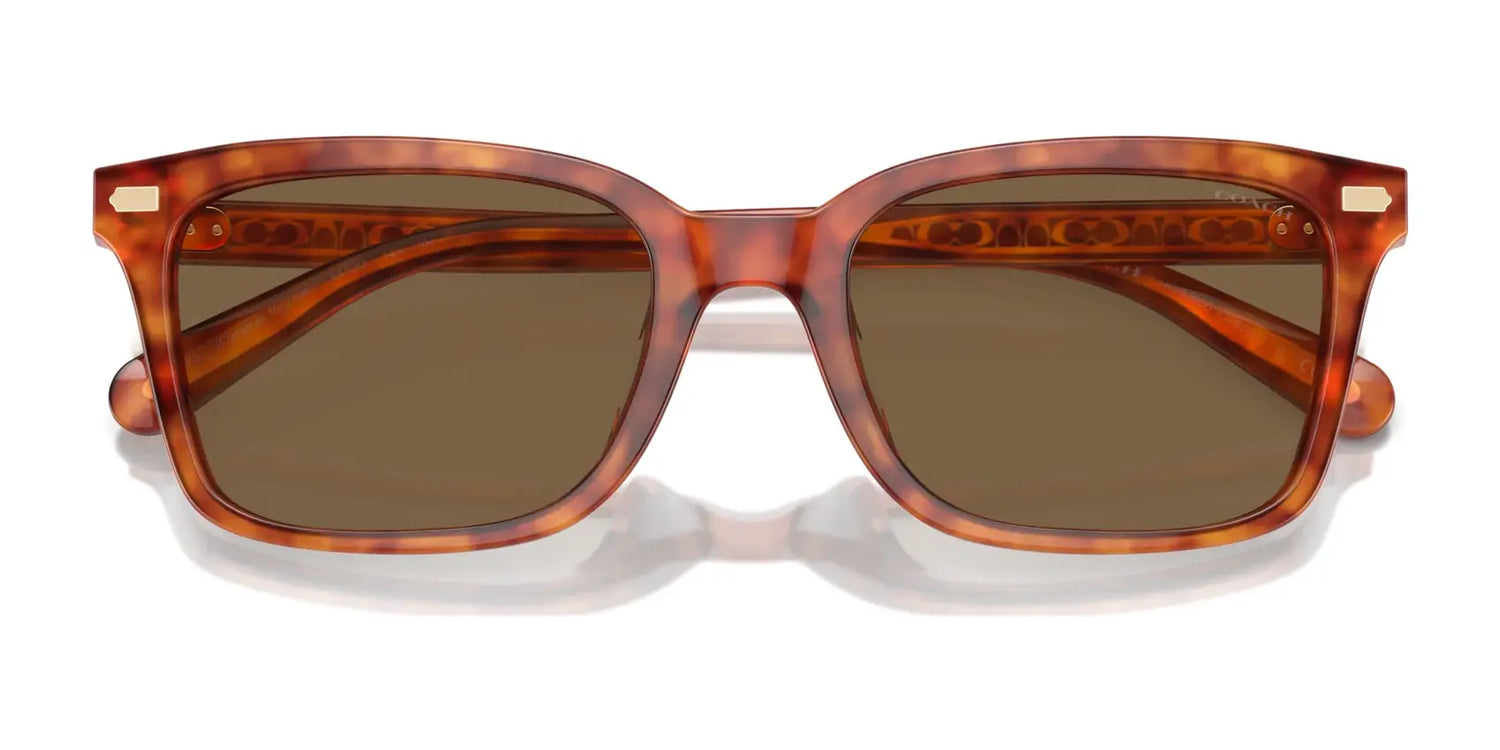 Coach CR630 HC8398U Sunglasses | Size 54 Coach CR630 HC8398U Sunglasses | Size 54