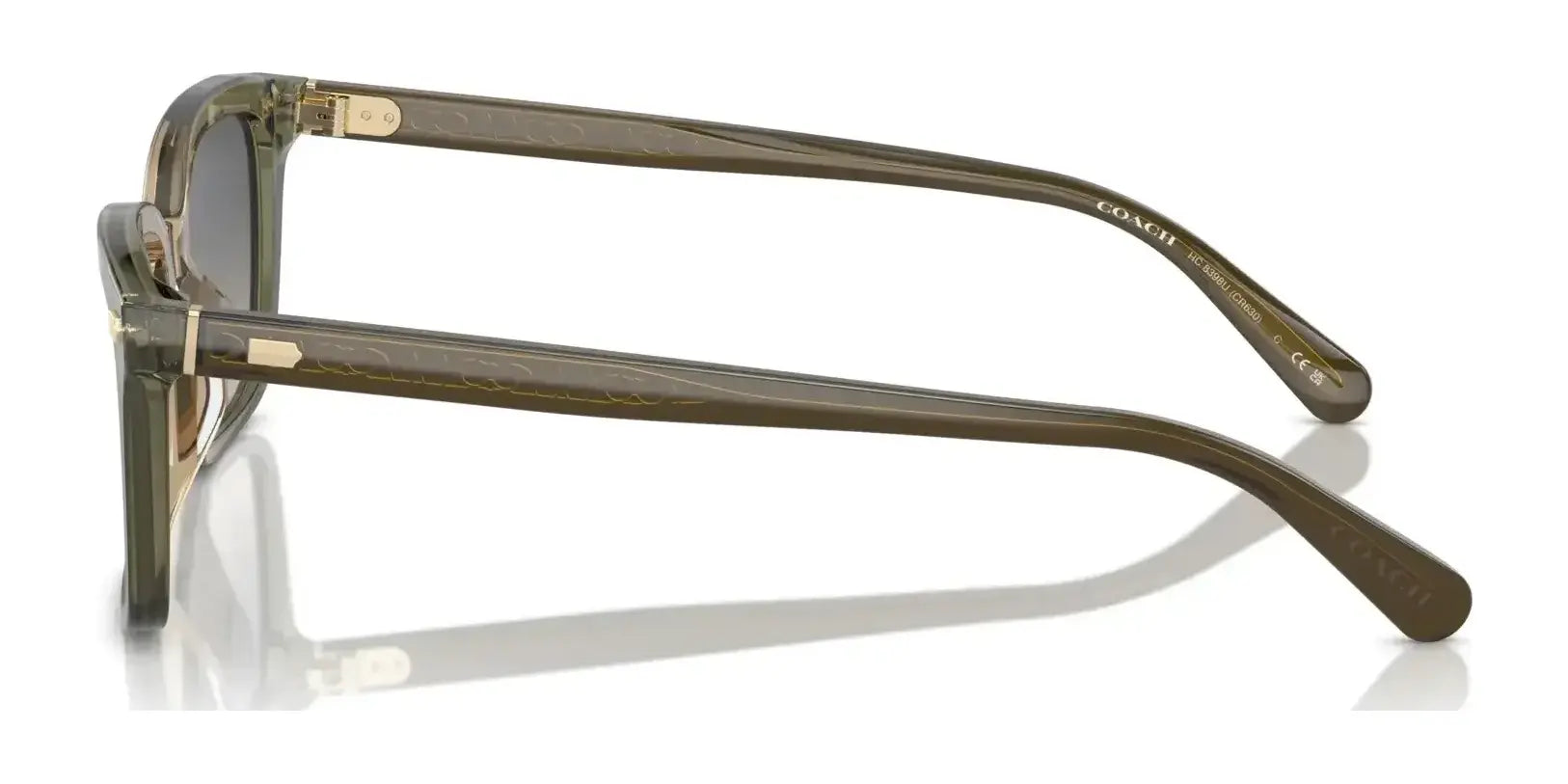 Coach CR630 HC8398U Sunglasses | Size 54 Coach CR630 HC8398U Sunglasses | Size 54