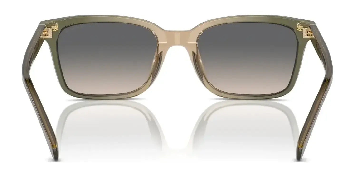 Coach CR630 HC8398U Sunglasses | Size 54 Coach CR630 HC8398U Sunglasses | Size 54