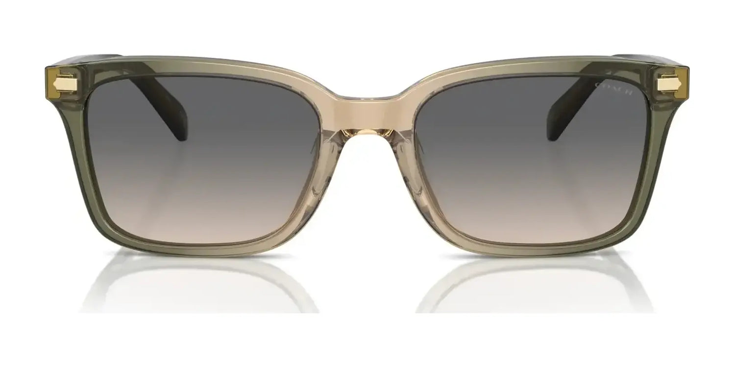 Coach CR630 HC8398U Sunglasses | Size 54 Coach CR630 HC8398U Sunglasses | Size 54