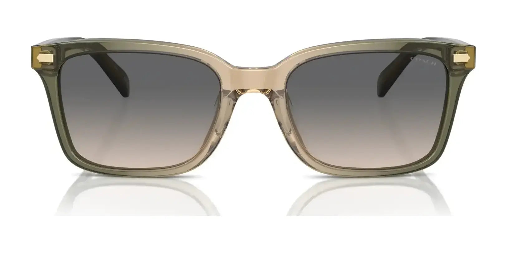 Coach CR630 HC8398U Sunglasses | Size 54 Coach CR630 HC8398U Sunglasses | Size 54