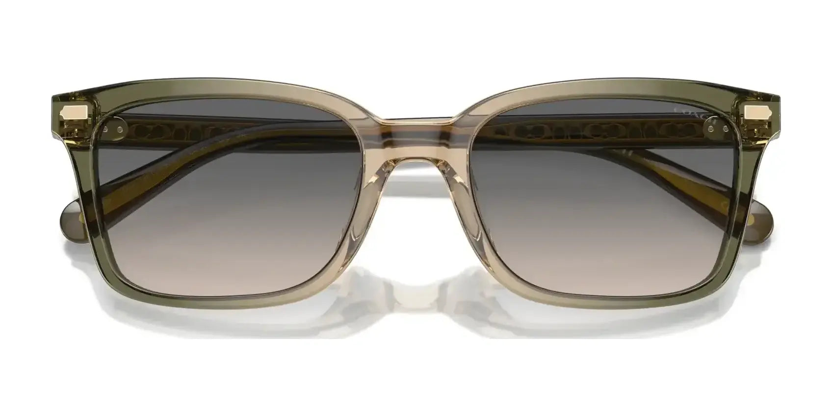 Coach CR630 HC8398U Sunglasses | Size 54 Coach CR630 HC8398U Sunglasses | Size 54